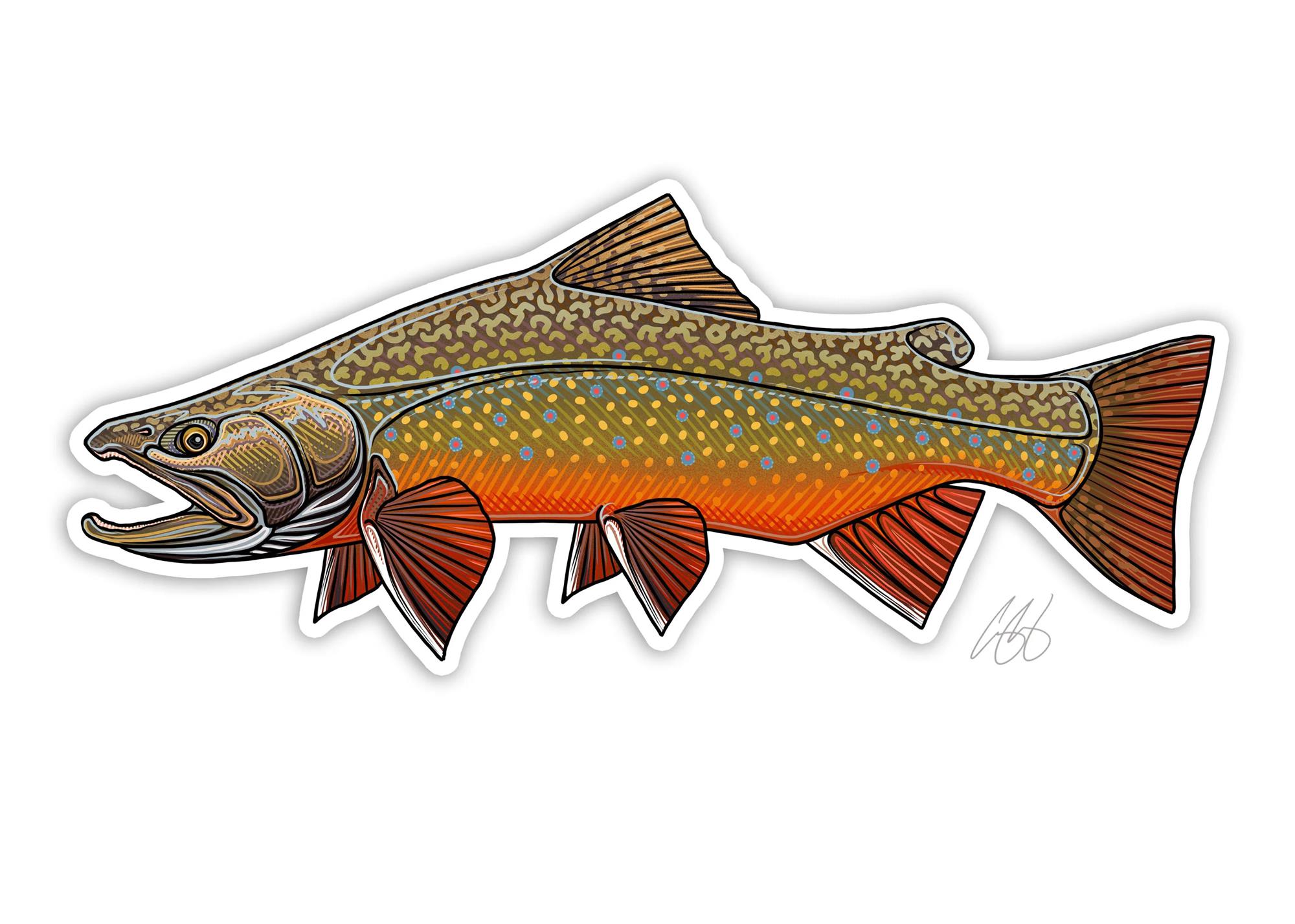 Brook trout style decal