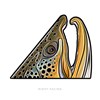 Decal designed by Casey Underwood of a rising brown trout
