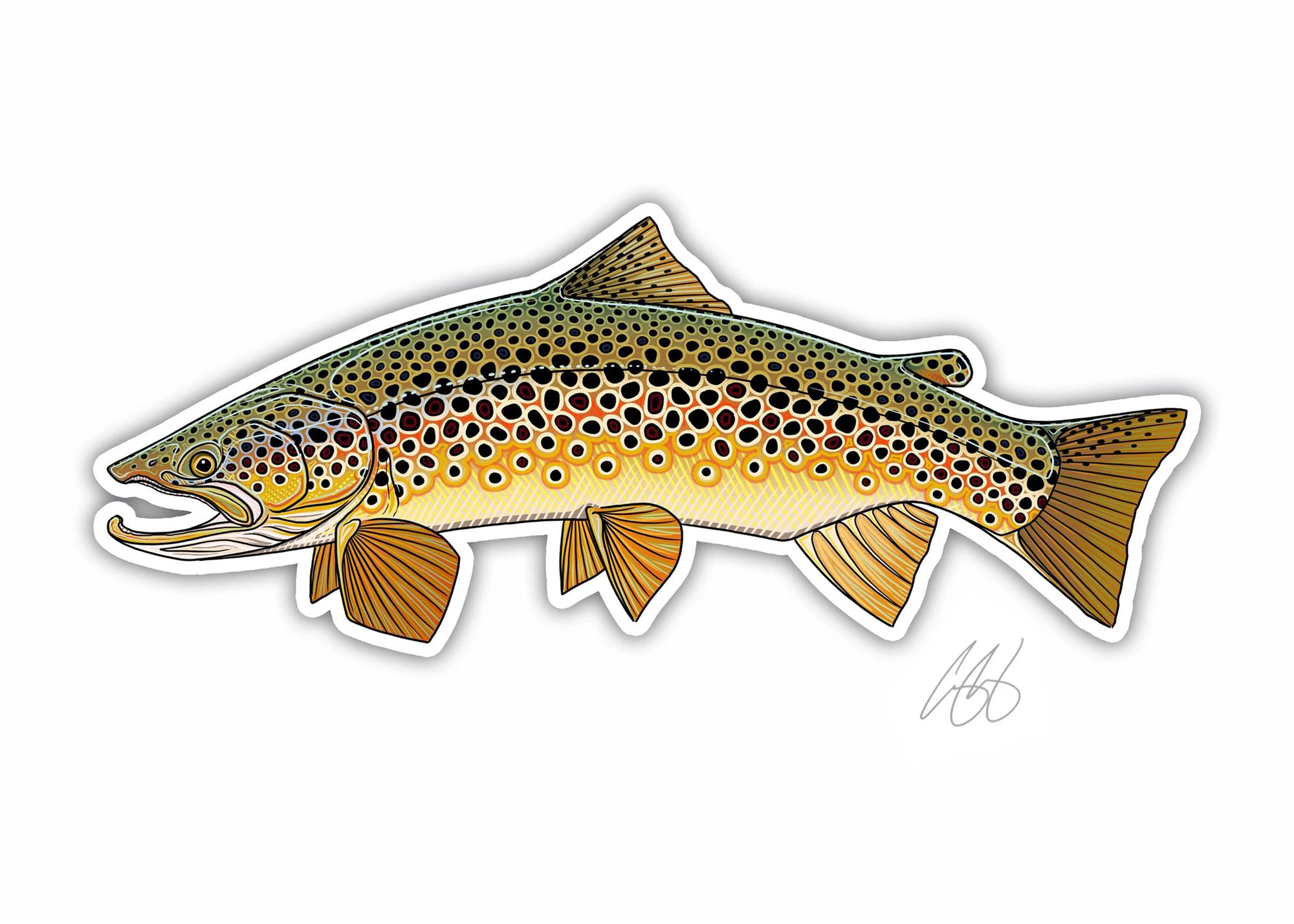 Decal by Casey Underwood showing a brown trout