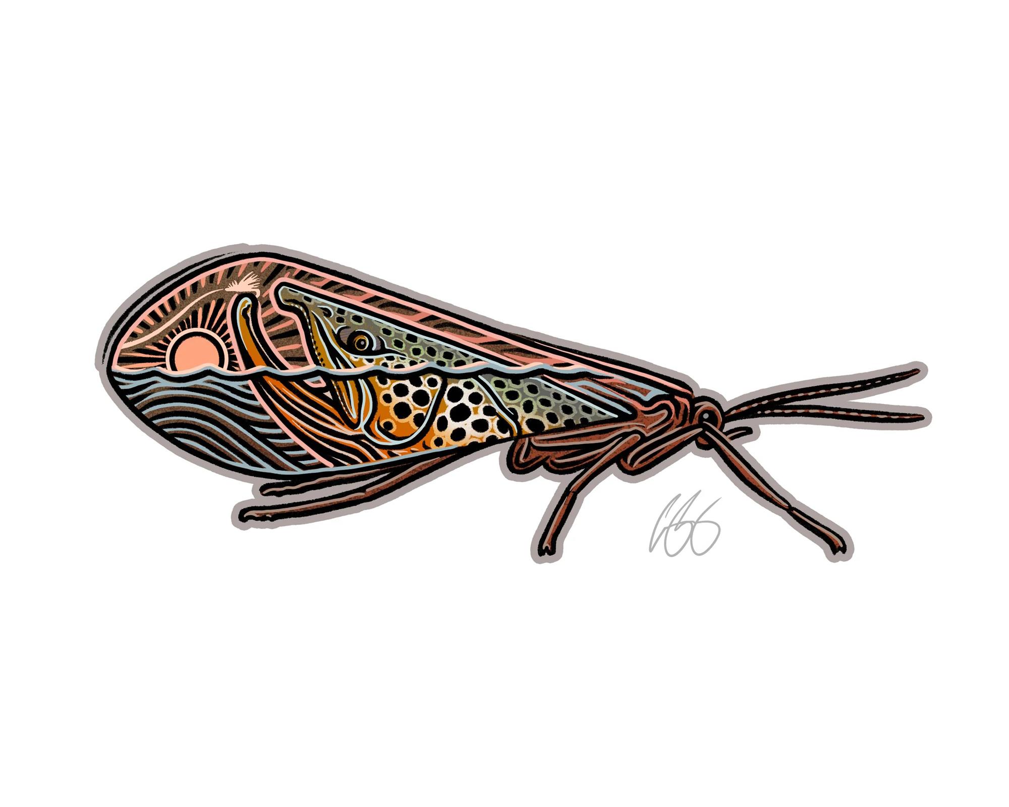 Decal showing a rising brown trout in the wing of a caddis