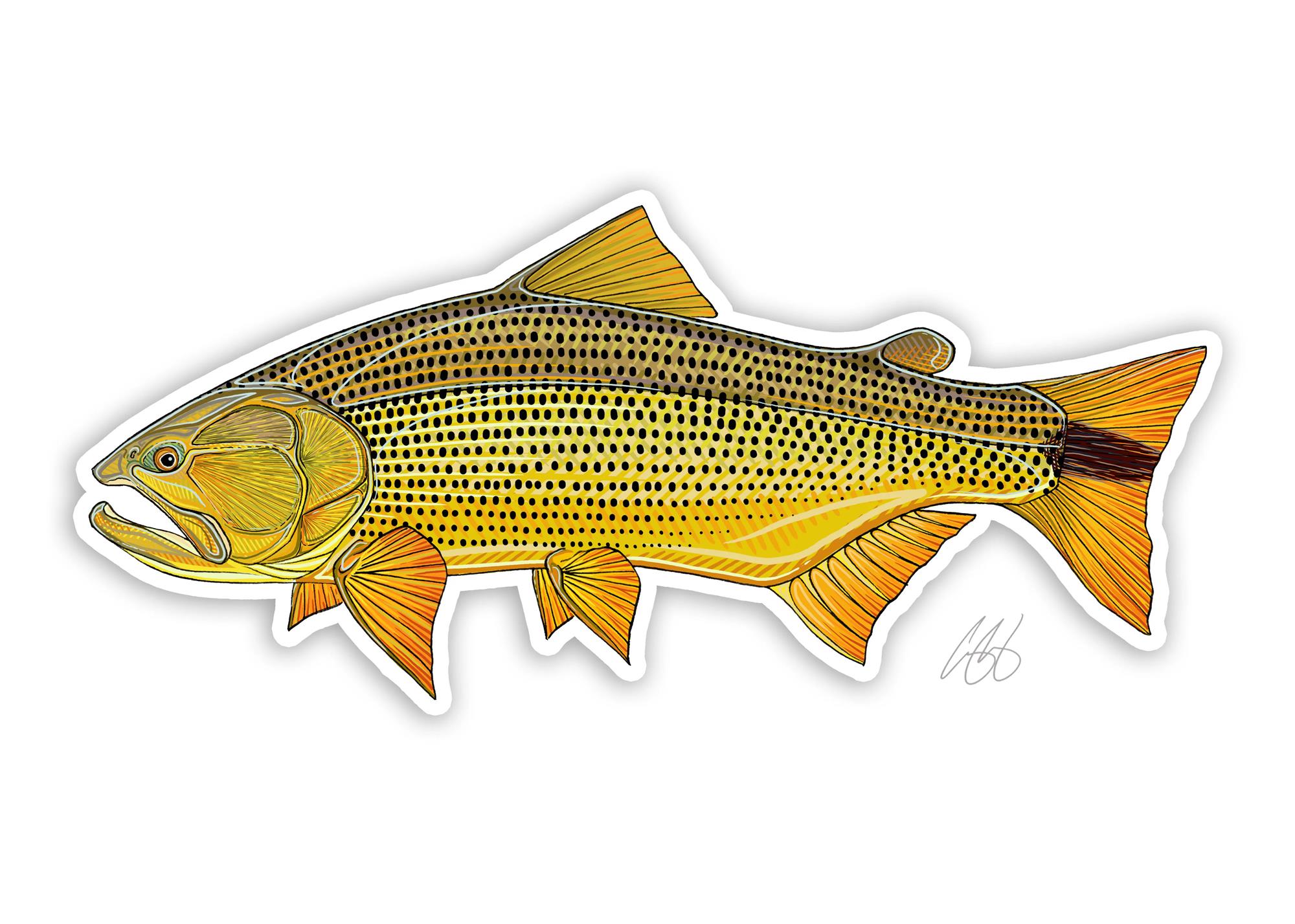 Decal designed by Casey Underwood of a golden dorado