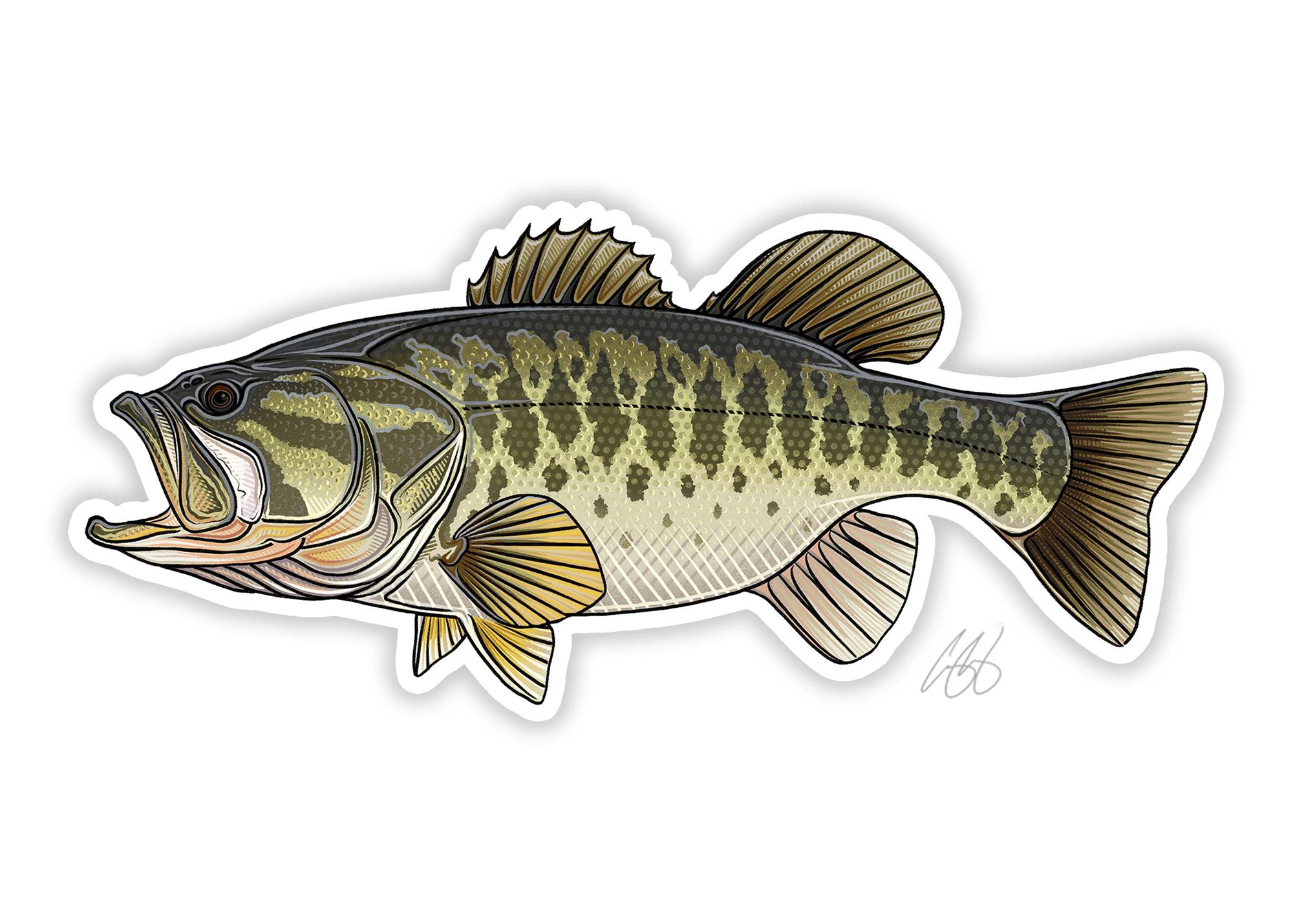 Decal designed by Casey Underwood of a largemouth bass