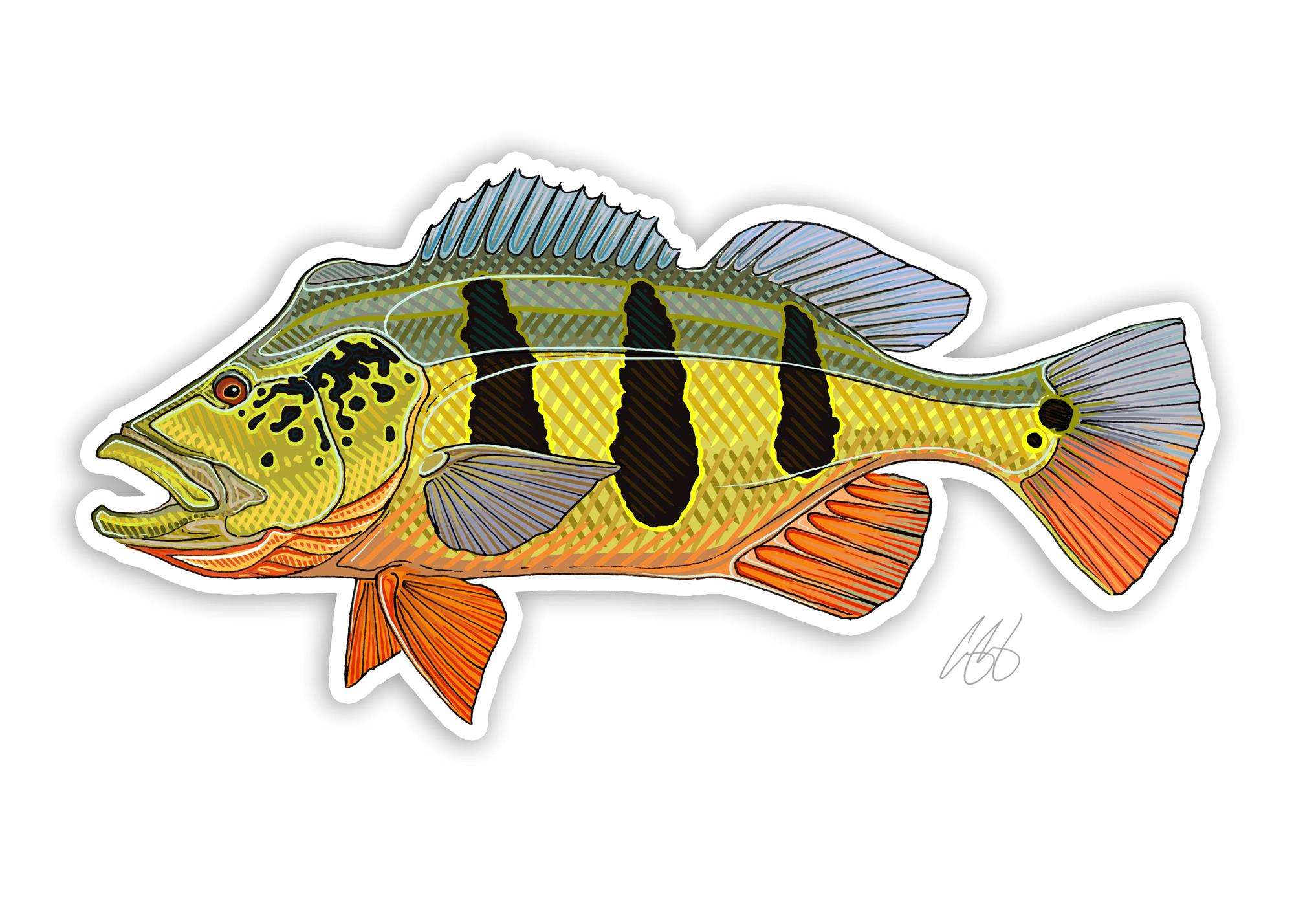 Decal designed by Casey Underwood of a peacock bass