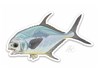 Decal design by Casey Underwood of a permit.