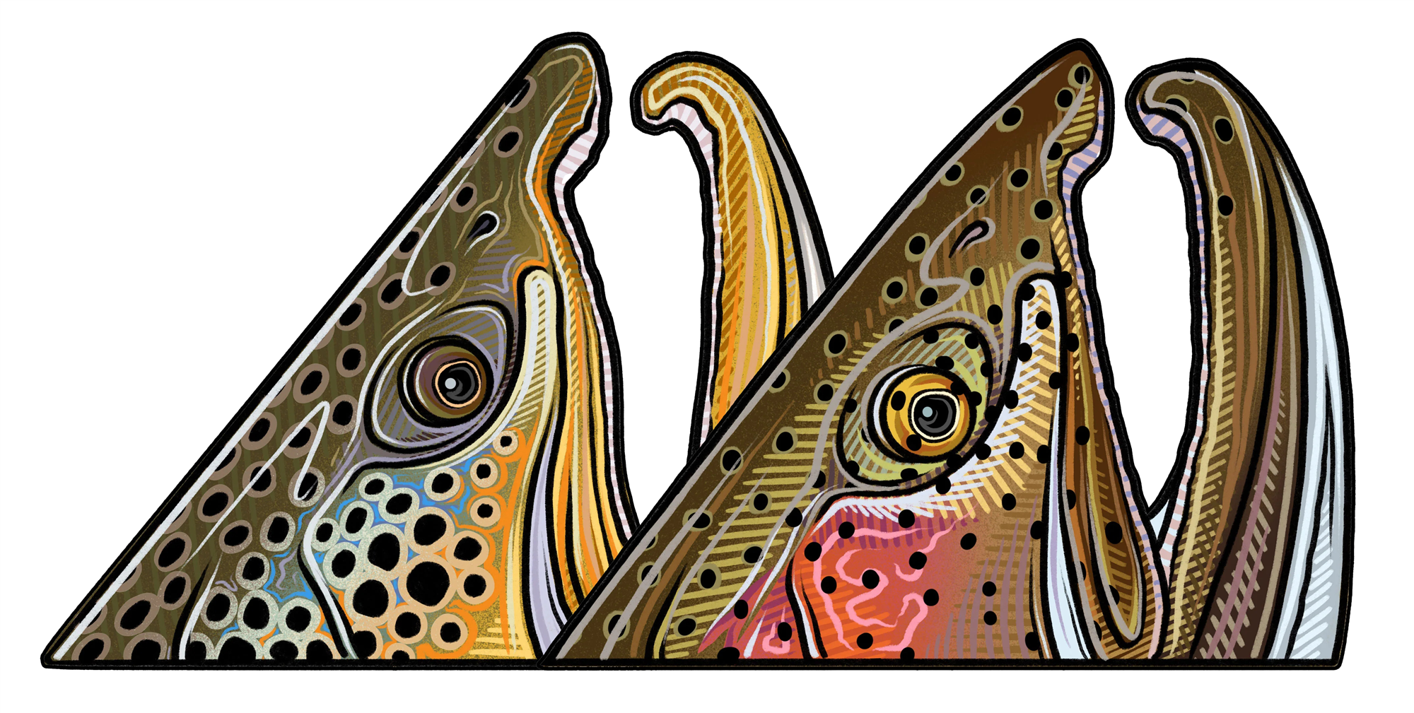 Two models of Casey Underwood's rising trout decals