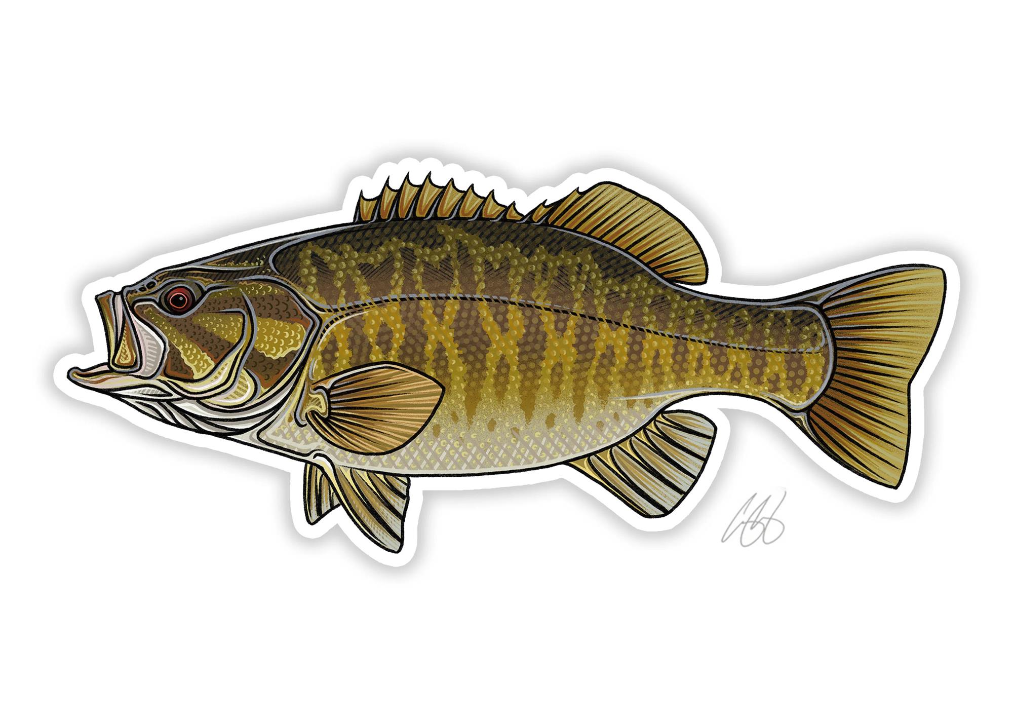 Decal designed by Casey Underwood of a smallmouth bass