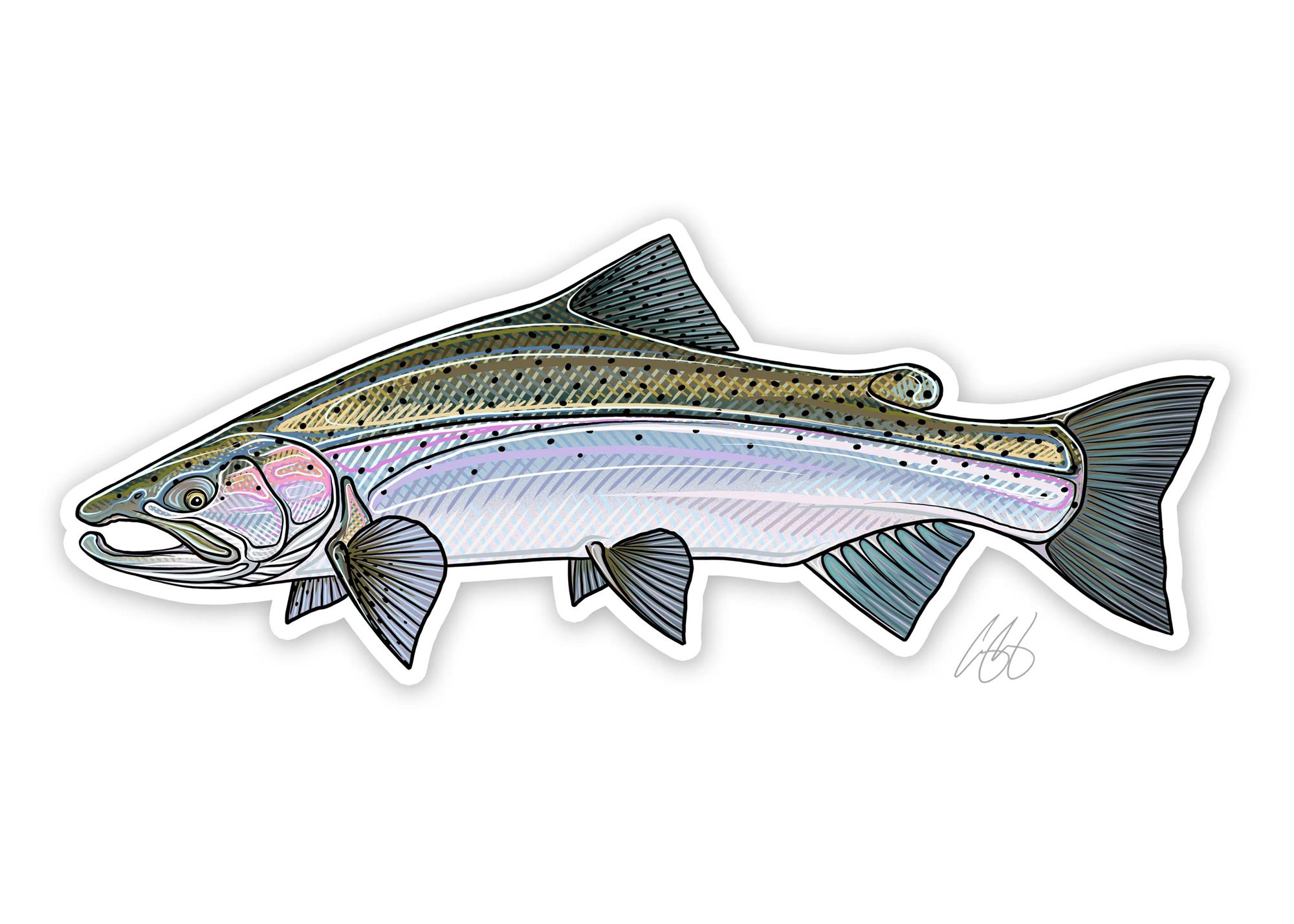 Decal designed by Casey Underwood of a steelhead