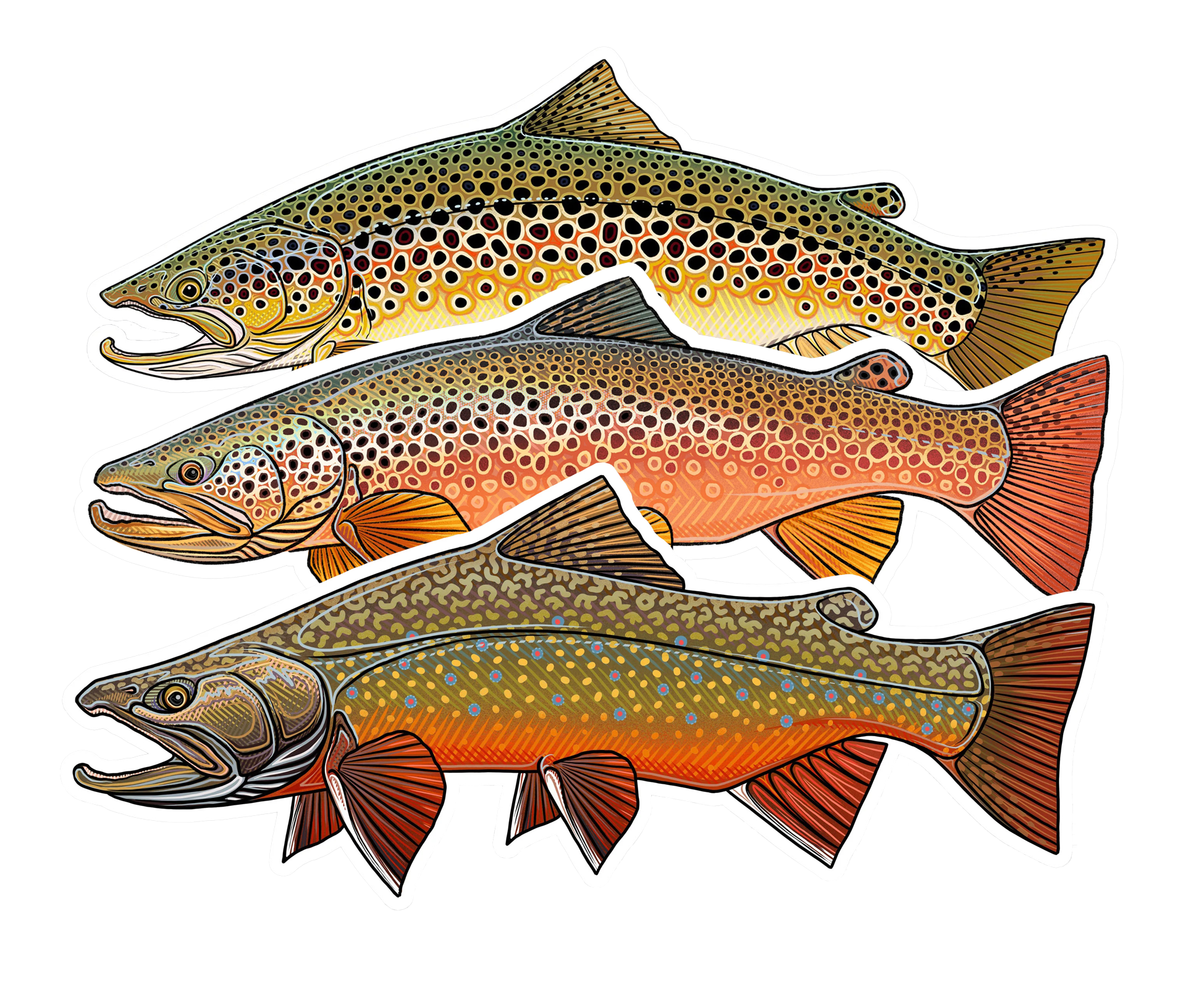 Three different styles of Casey Underwood's Trout Decals