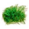 Wapsi Palmer Chenille Green for baitfish streamers, synthetic hackle wraps, and freshwater fly tying