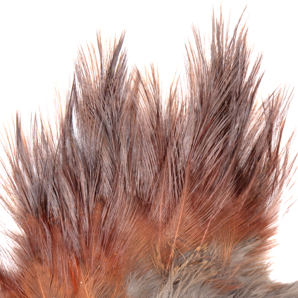 Premium Coq de Leon fly tying material from Whiting Farms for wooly bugger collars