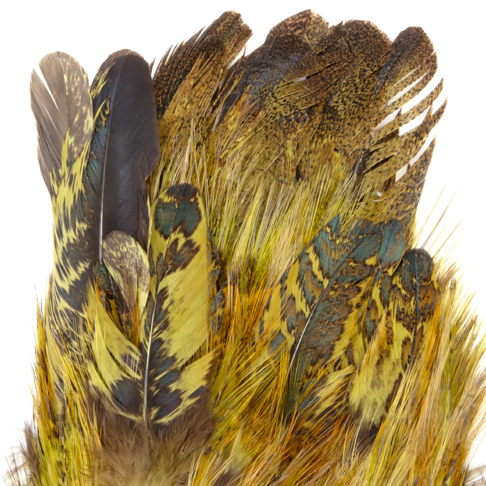 Elevate your fly tying with Whiting Farms Coq de Leon Mayfly tailing feathers