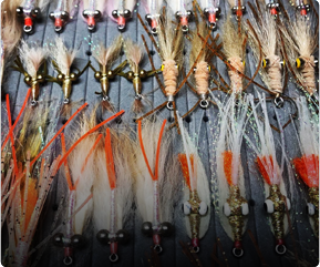 Fly fishing gear & supplies: FREE shipping for online orders over