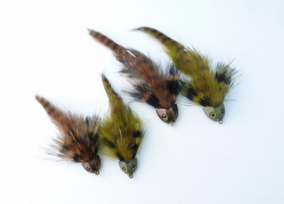 CatImages/fish_skull_helmets_flies.jpg