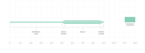 Frequency Intermediate Fly Line Taper Diagram