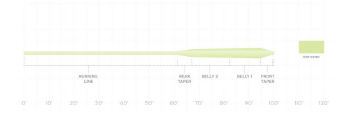 Scientific Anglers Frequency Magnum Taper Diagram